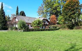 Apartma Anton